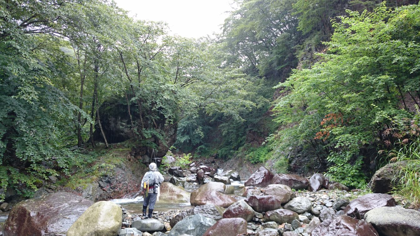 b0172805_3321613.jpg