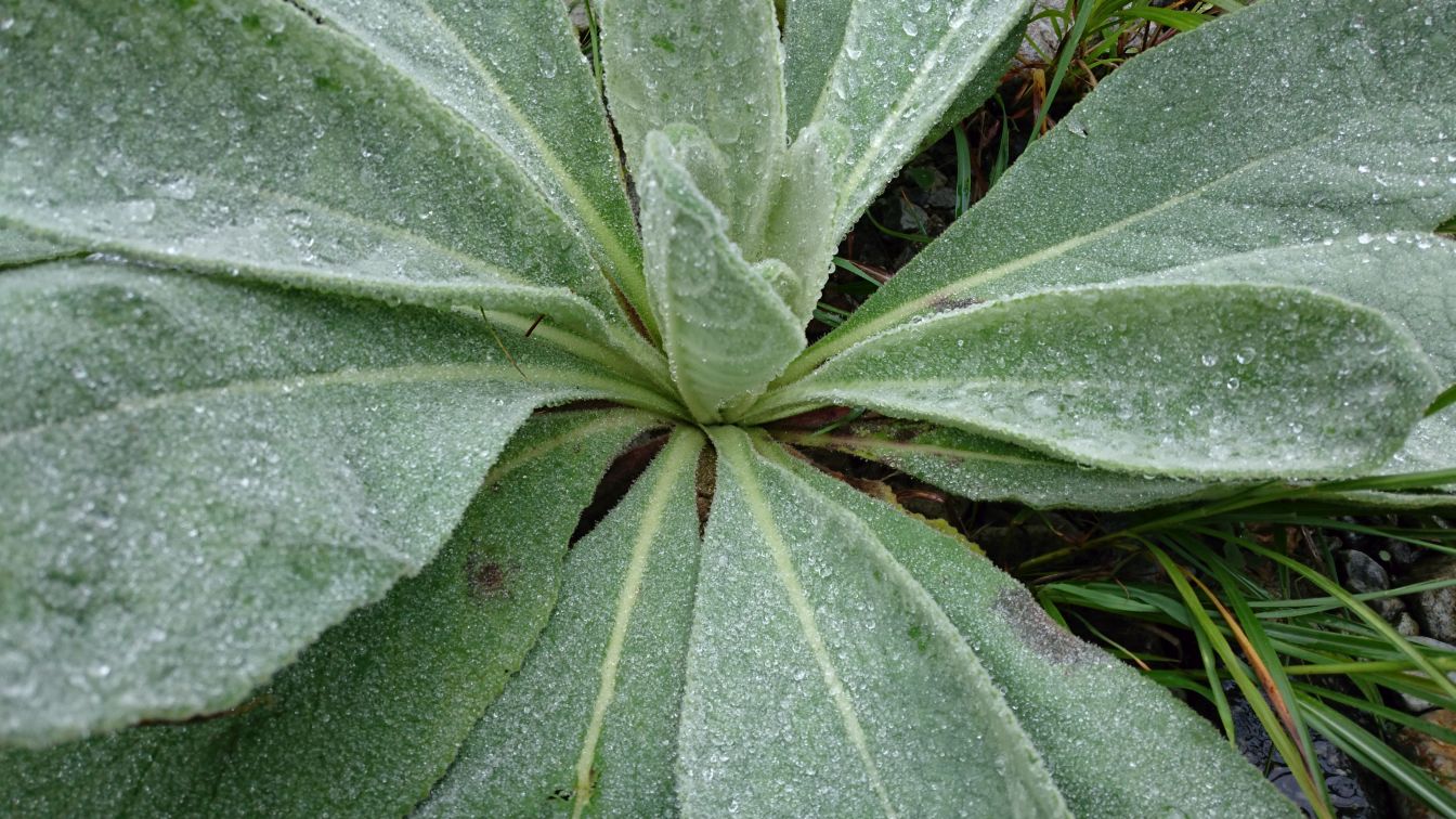 b0172805_3333530.jpg