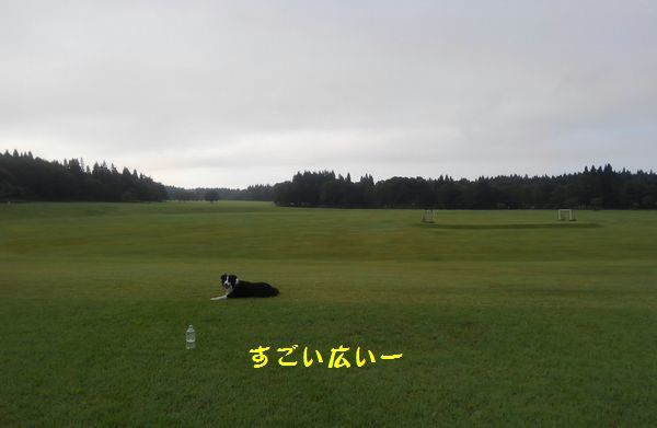d0224111_20204254.jpg