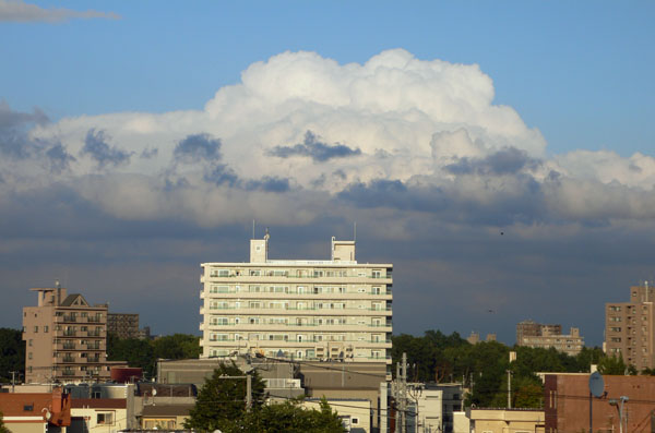 a0046429_9465465.jpg