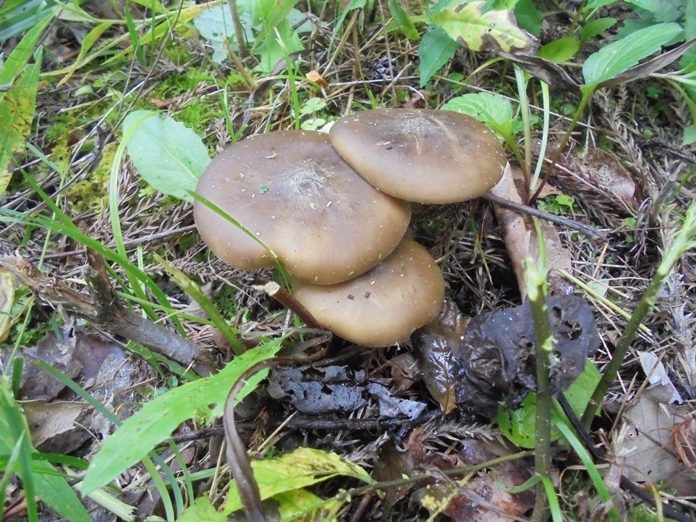 c0111229_1913172.jpg