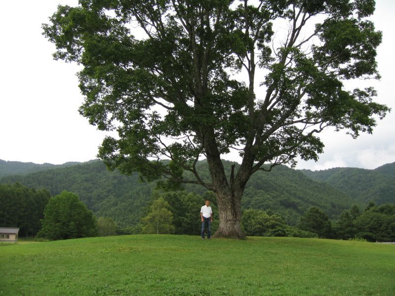 f0076731_20525620.jpg