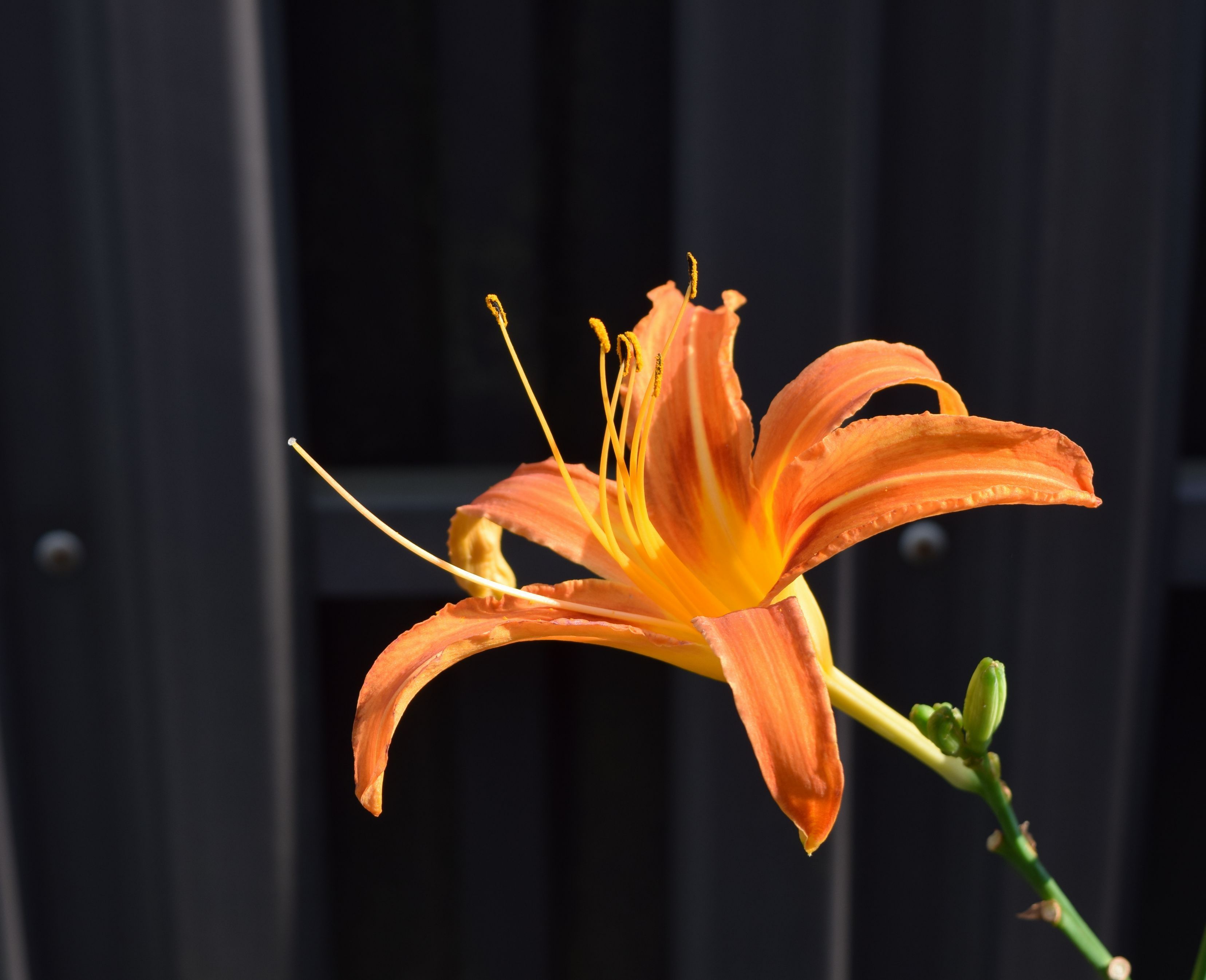 a0228333_22464700.jpg