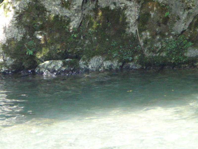 a0156834_23302491.jpg