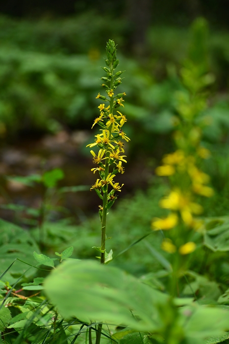 b0236334_20144620.jpg