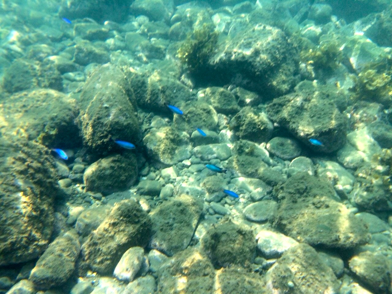 d0013834_0301971.jpg