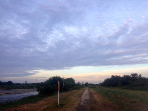 d0013834_21363.jpg