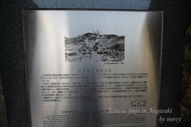 a0207736_231865.jpg