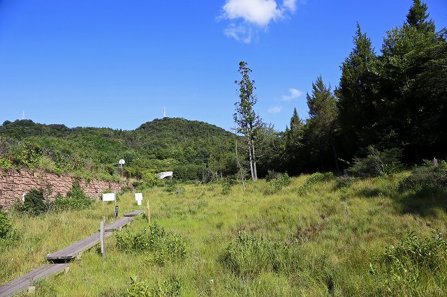 a0242438_19415625.jpg