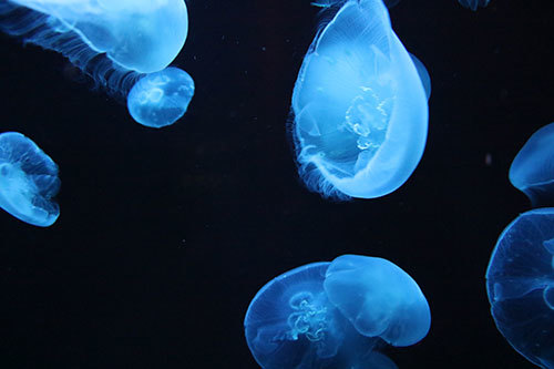 b0159557_20052843.jpg