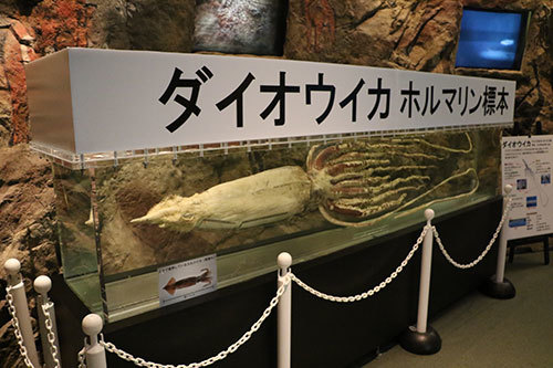 b0159557_20073691.jpg