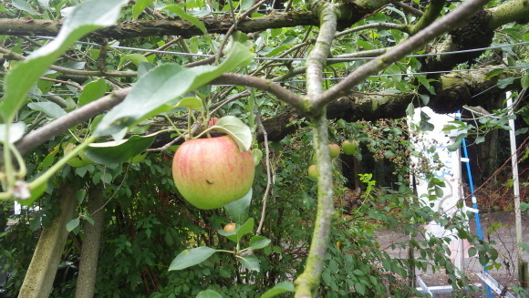 f0201157_22175519.jpg