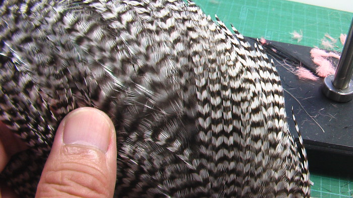 b0208961_10173430.jpg