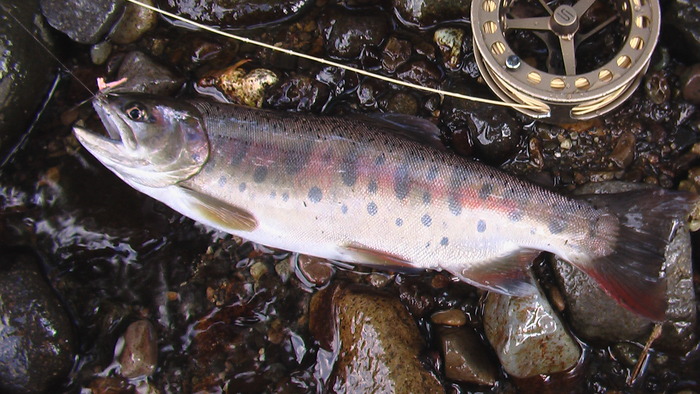 b0208961_1123190.jpg