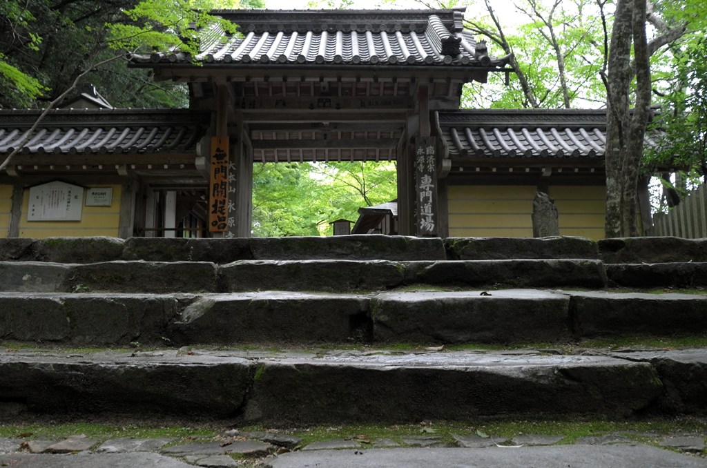 d0090161_14262100.jpg