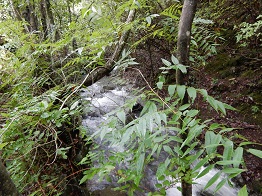 e0175370_843567.jpg