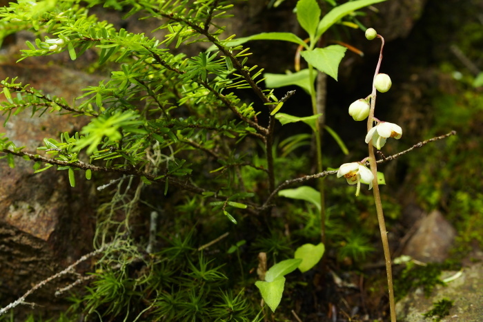 e0307372_11023550.jpg