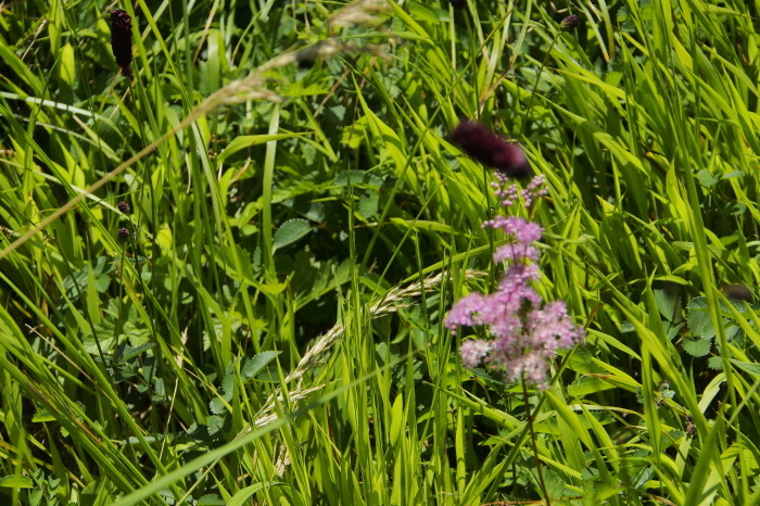 e0307372_16324474.jpg