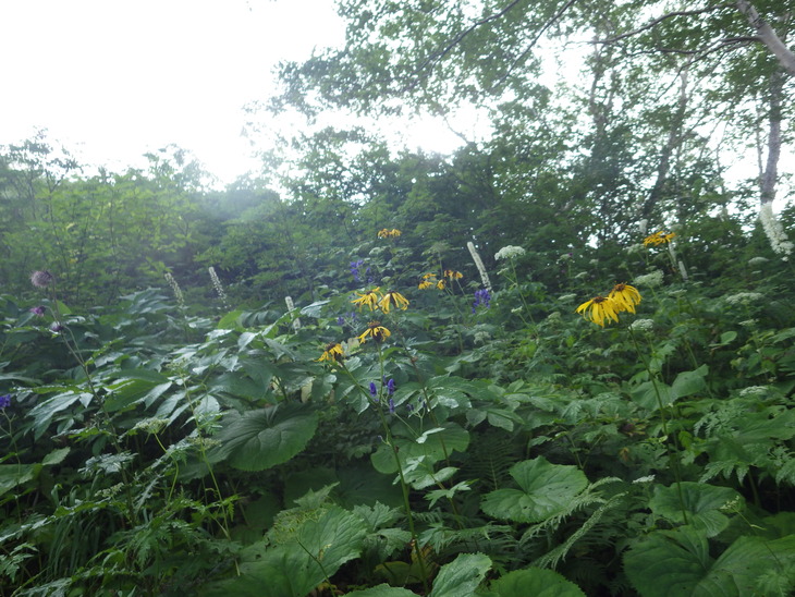 a0094280_1745276.jpg