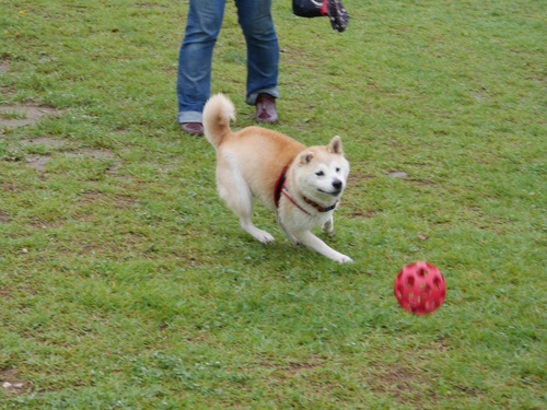 c0123890_13151355.jpg