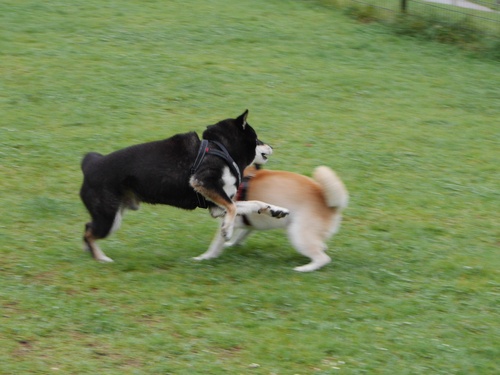 c0123890_13234099.jpg