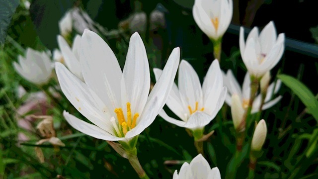 e0350415_22122040.jpg