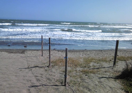 b0285619_22544670.jpg