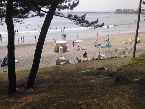 b0285619_22582574.jpg