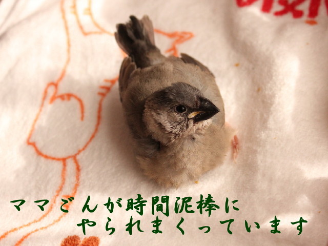 c0365734_00013928.jpg