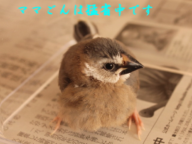 c0365734_00014110.jpg