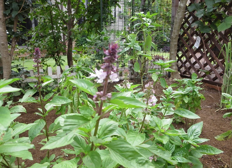 b0301236_10291629.jpg