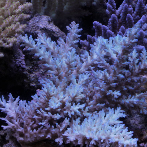d0221436_21144933.jpg