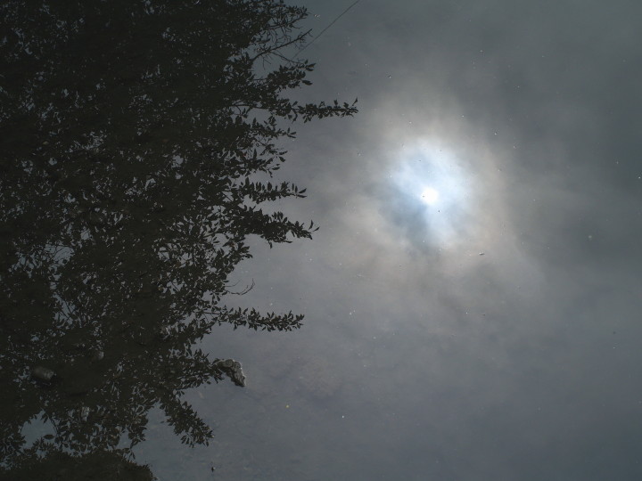 d0241937_16185839.jpg