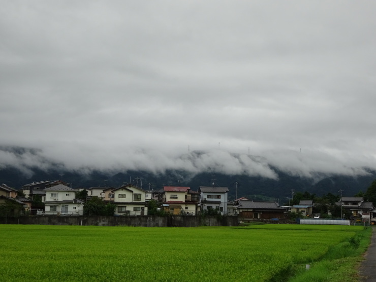 a0238739_22373918.jpg