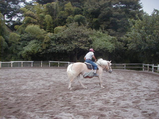 a0305943_22502857.jpg