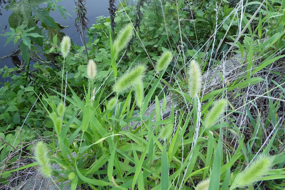 d0288144_14480241.jpg