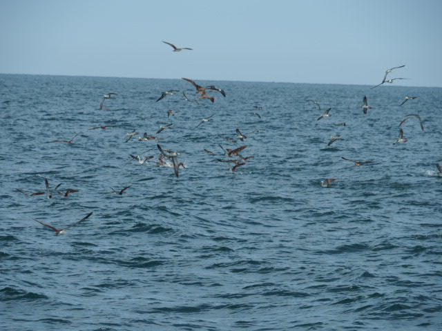 a0248152_1937777.jpg