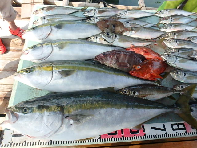 a0248152_1941327.jpg