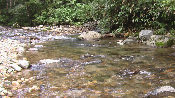 b0208961_16183292.jpg