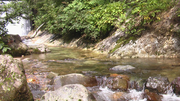 b0208961_1620517.jpg
