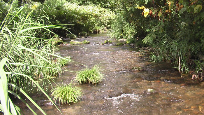 b0208961_16221159.jpg