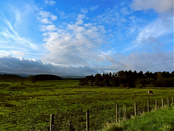 d0260278_13064005.jpg