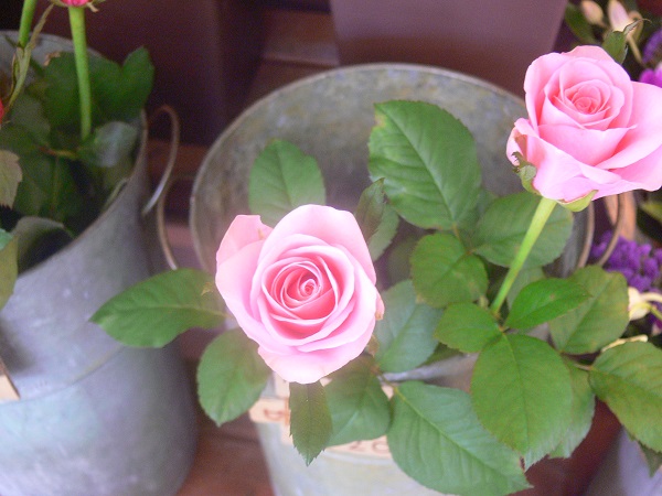 e0140986_1603469.jpg