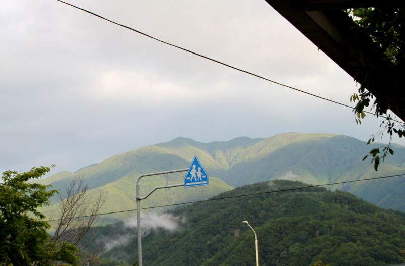 d0133592_13371848.jpg