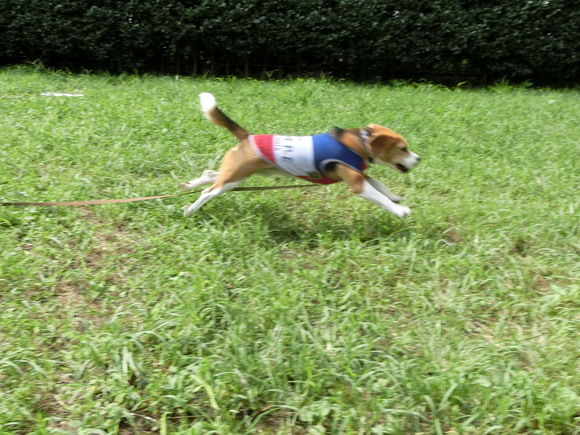 a0319693_8355868.jpg