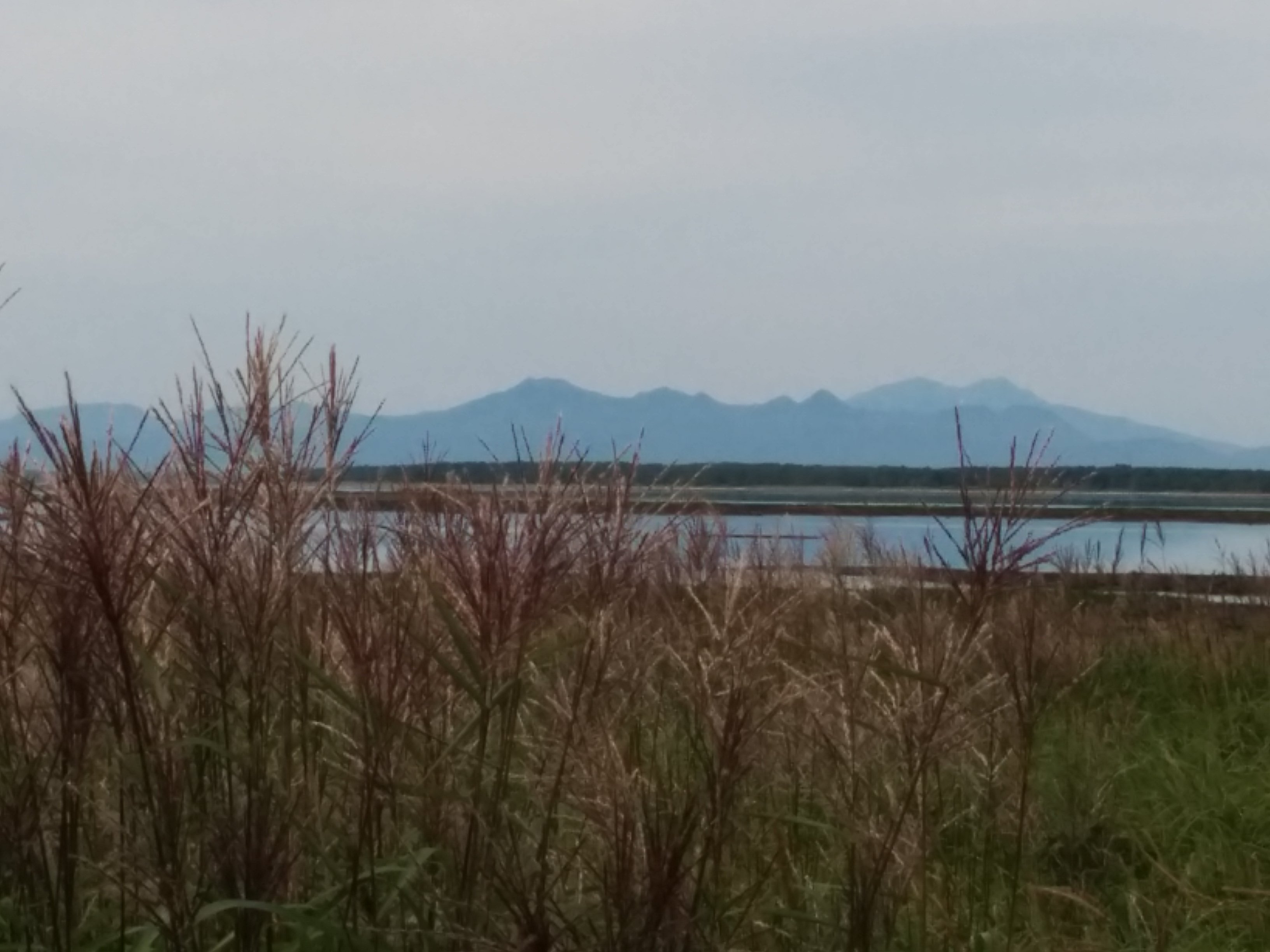 e0241093_926201.jpg