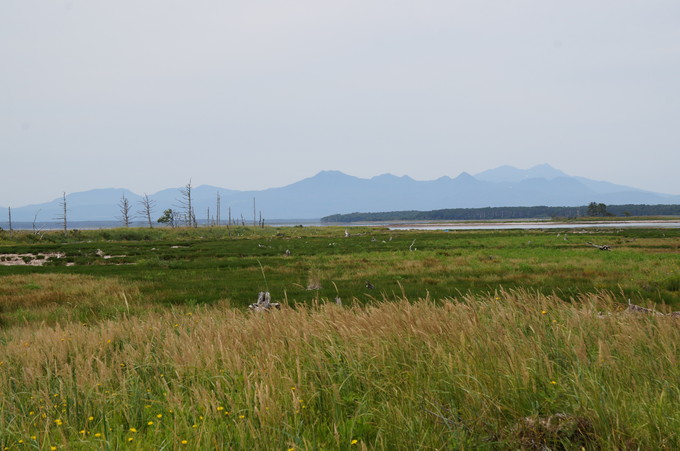 e0241093_937962.jpg