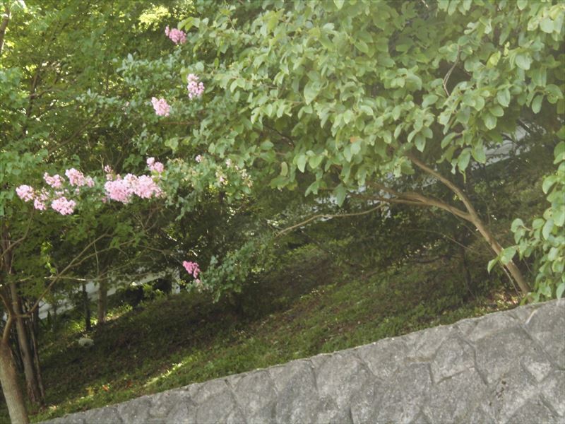 c0108198_1631527.jpg