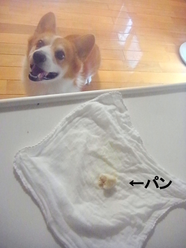 f0164499_00142012.jpg