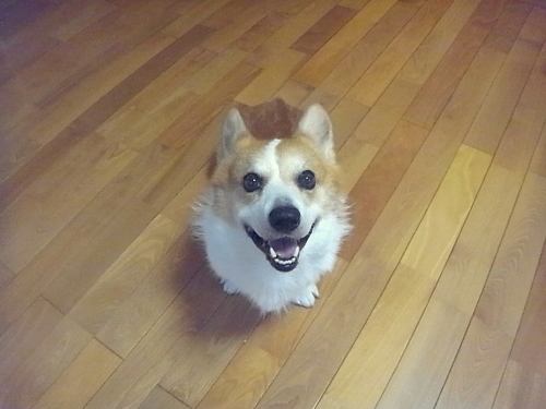 f0164499_00143059.jpg